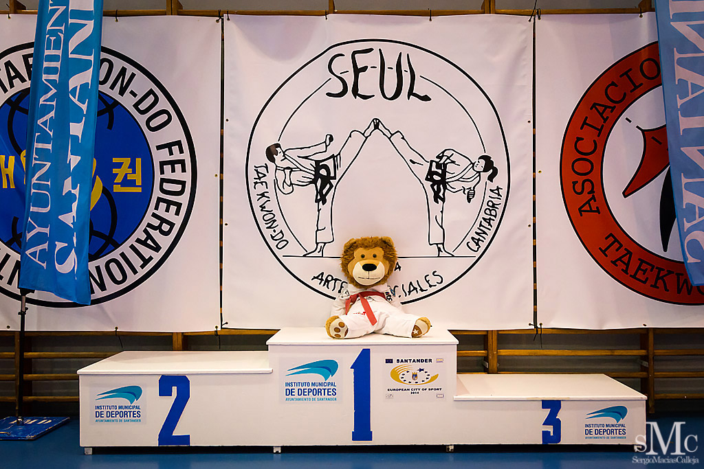 COPA SEUL 2017 PODIUM (57).JPG